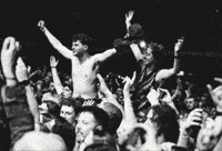 Live Music GIF by Foo Fighters