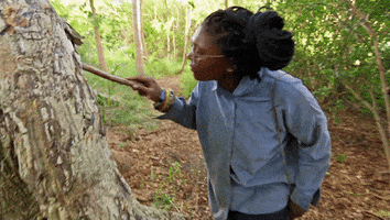 Idol Looking GIF by Survivor CBS