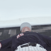 Texas Tech GIF by Texas Tech Baseball