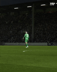 West Brom Football GIF by West Bromwich Albion