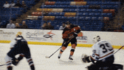 Marksmenhockey GIF by Fayetteville Marksmen