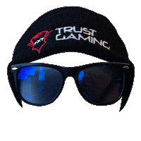 sunglasses Sticker by Trust Gaming