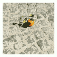 elojodenestor pixel gif art remix apropiacion GIF