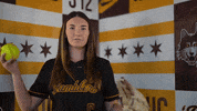 Loyola Softball GIF by LoyolaRamblers