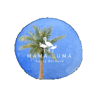 Santa Barbara Art Sticker by mamalumaofficial