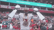 Tampa Bay Buccaneers Football GIF by NFL