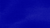 Greenday GIF by Jeopardy!