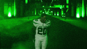 Happy Ny Jets GIF by New York Jets