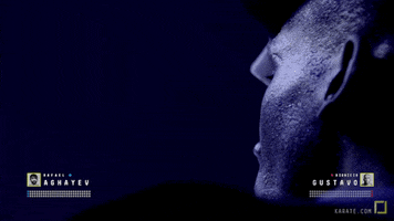 karatecombat sports sport mma punch GIF