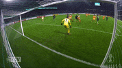 parade werder GIF