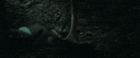 Emo Digging GIF by Better Noise Music