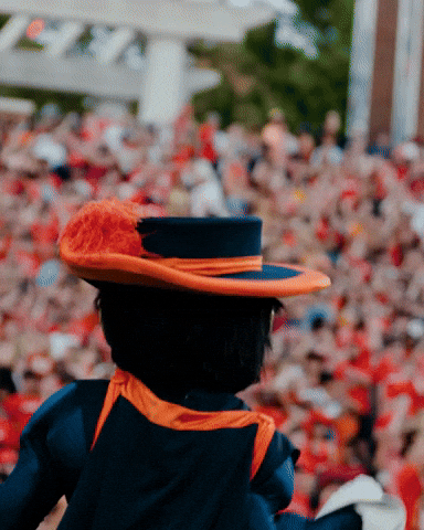 Virginia Football Mascot GIF by Virginia Athletics