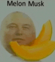 Elon Musk Tesla GIF