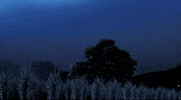 Shooting Star Animation GIF by All The Anime — Anime Limited