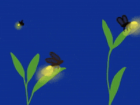 Pretty Lights Twilight GIF by Barbara Pozzi