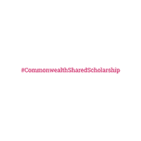 British Council Santander Sticker by Cranfield University