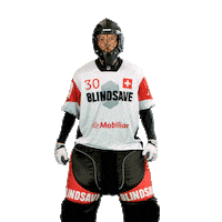 Swissunihockey Blindsavefloorball Sticker by BLINDSAVE