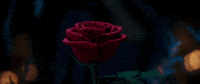 Emma Watson Disney GIF by Beauty And The Beast