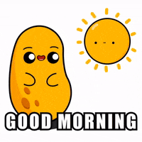 Happy Good Morning GIF