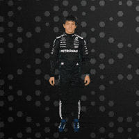 Formula One Yes GIF by Mercedes-AMG Petronas Formula One Team