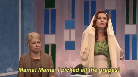 kristen wiig snl GIF by Saturday Night Live