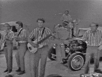 The Beach Boys GIF