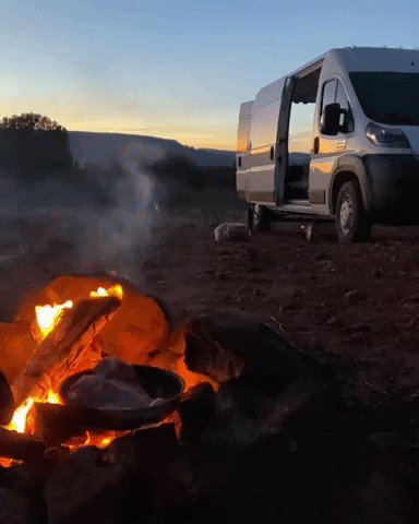 bohovans giphyupload GIF