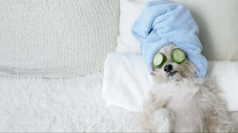 GIF by Bionoble