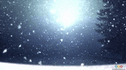 Let It Snow Christmas GIF by echilibrultau