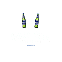 New Year Party Sticker by Efes