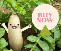 SEEDORGHK zero waste ugly food local farm hong kong farm GIF