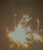 Celebrate New Year GIF by This Bushwick Life