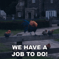 Domhnall Gleeson No GIF by Peter Rabbit Movie