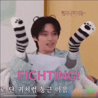 Stray Kids Fighting GIF