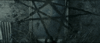 studying suicide squad GIF