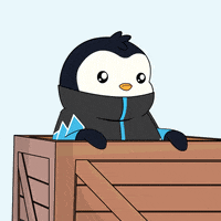 Penguin Oops GIF by Pudgy Penguins