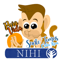 Costarica Sticker by NIHI sumba