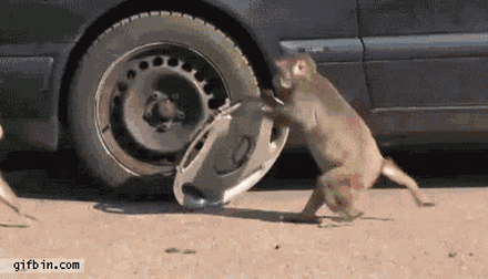buatutu giphyupload GIF