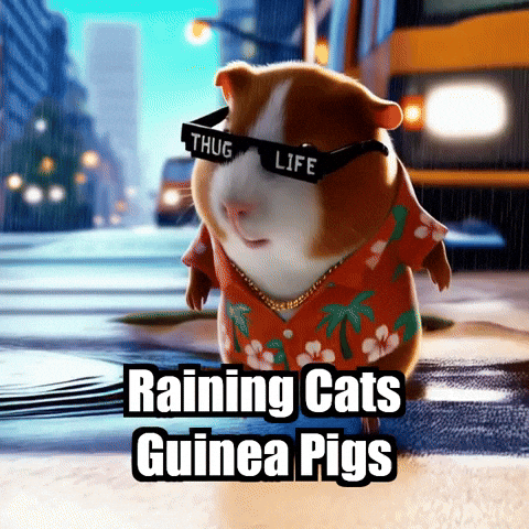 Commute GIF by Guinea Gambino