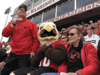 Washington Football Team Whatever GIF by Eastern Washington University