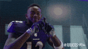 Football Celebrate GIF by Baltimore Ravens