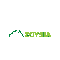 Zoysia Australis Sticker by Lawn Solutions Australia