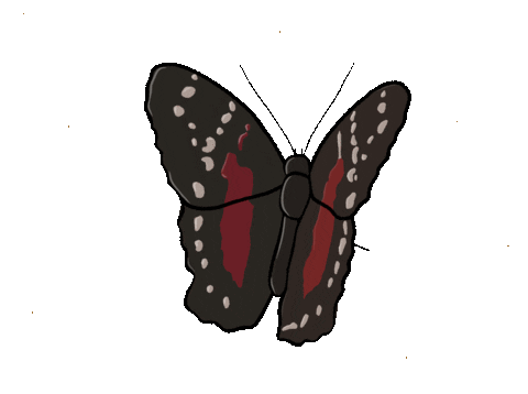 gabwart red nature yellow fly Sticker