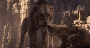 scar GIF by Walt Disney Studios