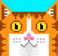 8 Bit Cats GIF by PEEKASSO