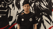 League Of Legends Lol GIF by G2 Esports