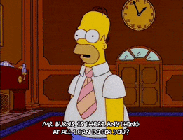 homer simpson GIF