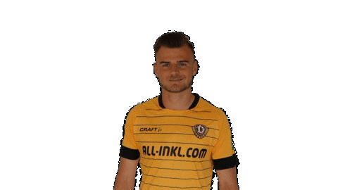 Goal Celebrate Sticker by SG Dynamo Dresden