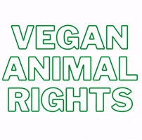 Plant-Based Vegan GIF by Caavakushi