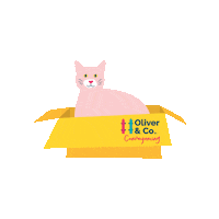 OliverandCoConveyancing cat in a box oliver co Sticker